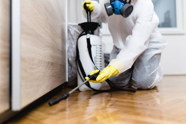 Professional Pest Control in Ardmore, AL