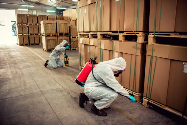 Best Flea Control Services  in Ardmore, AL