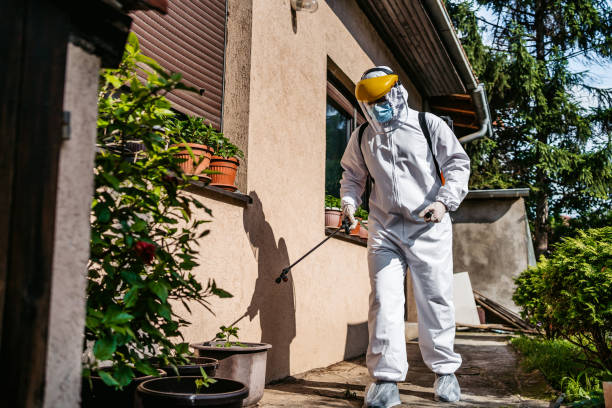 Best Mosquito Control Services  in Ardmore, AL