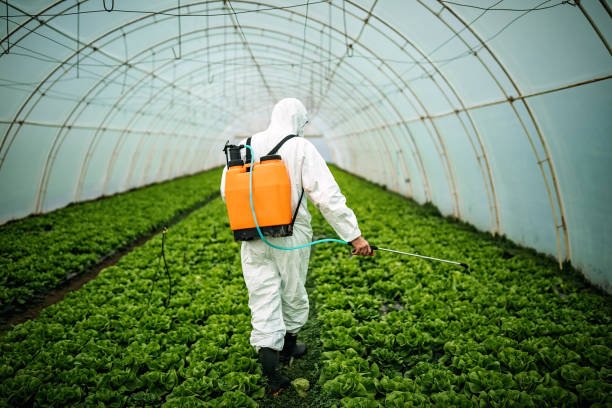 Best Pest Control for Restaurants  in Ardmore, AL