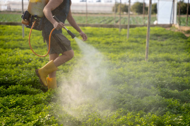 Best Best Pest Control Companies  in Ardmore, AL