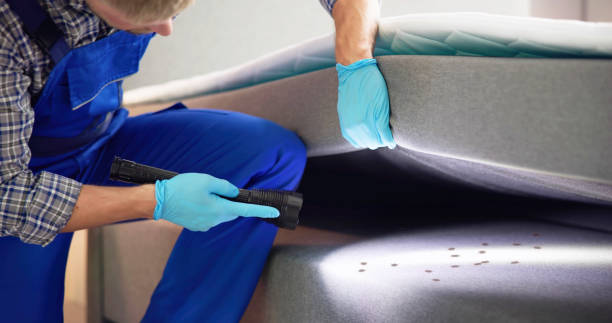 Best Affordable Pest Control Services  in Ardmore, AL