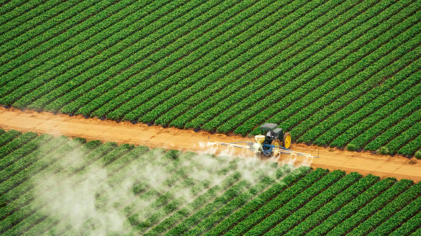 Pest Control for Restaurants in Ardmore, AL