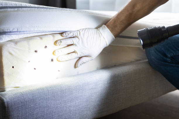 Best Pest Control Near Me  in Ardmore, AL