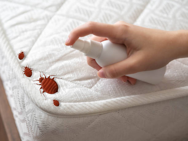 Best Affordable Pest Control Services  in Ardmore, AL