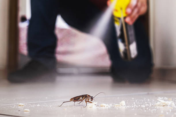 Best Affordable Pest Control Services  in Ardmore, AL