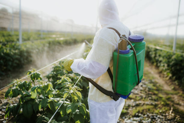 Best Emergency Pest Control  in Ardmore, AL